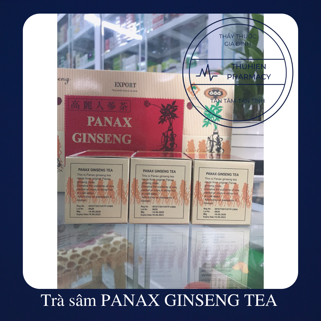 Panax Ginseng Tea Ginseng Tea Box of 100 Packs