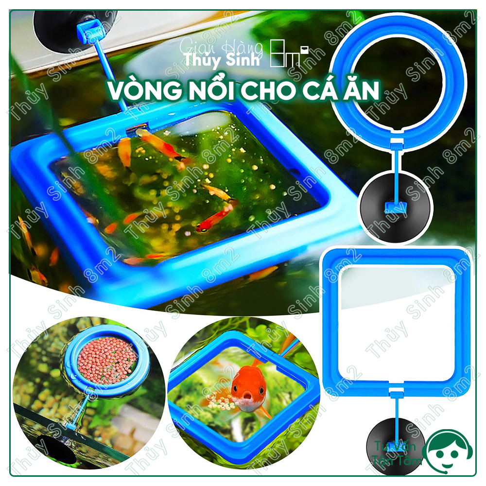 Vòng Nổi Giữ Thức Ăn Cho Cá Ăn | Dụng Cụ Cho Cá Ăn | 8m2