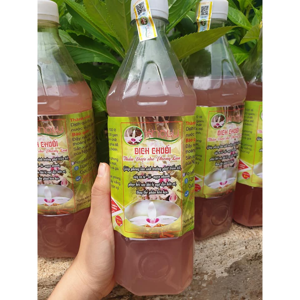 Lọ Dịch Chuối Khaly Bảo Đảm Chất Lượng