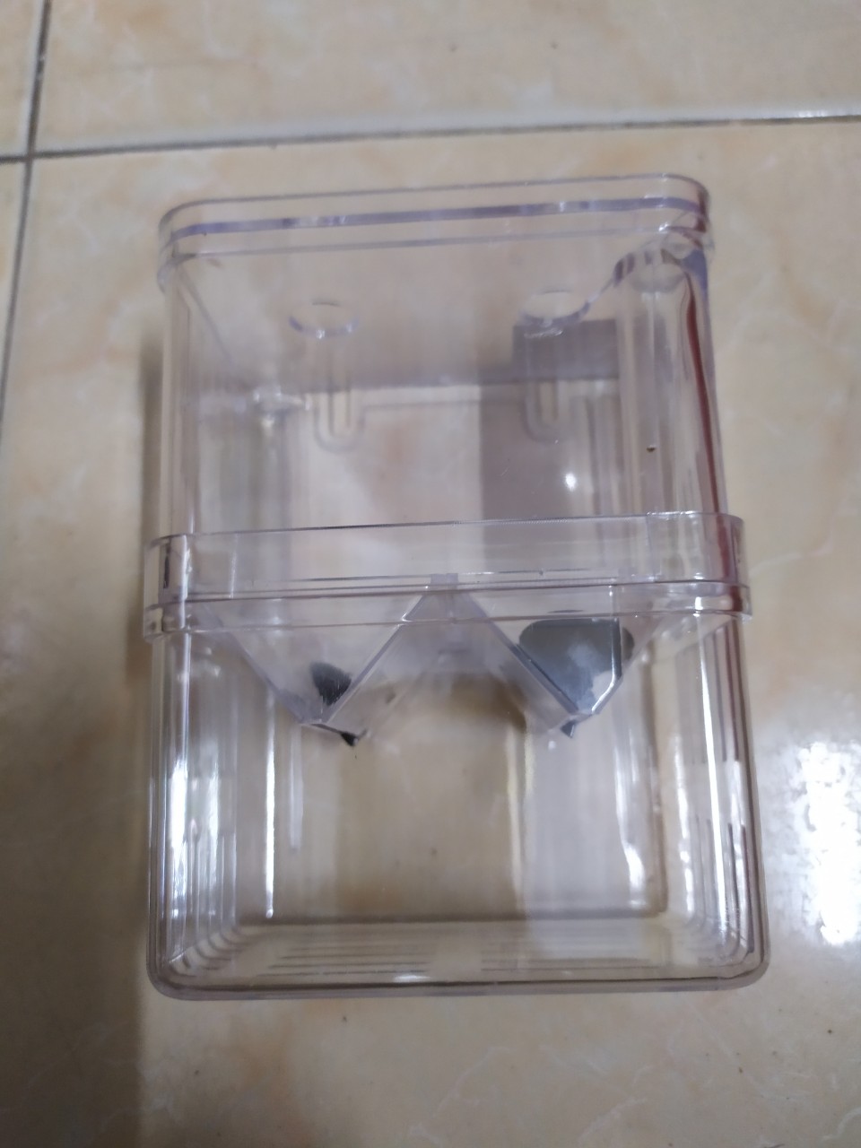 [HCM][Size Vừa] Lồng Ép Cá Đẻ Tách Cá Bệnh
