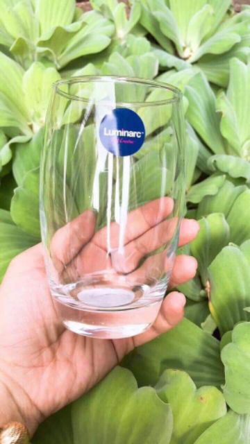[HCM]Bộ 6 ly thủy tinh Luminarc cao cấp xịn sò
