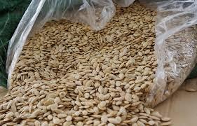 1KG HẠT BÍ TA RANG BẾP CỦI GIÒN TAN MẨY BÙI