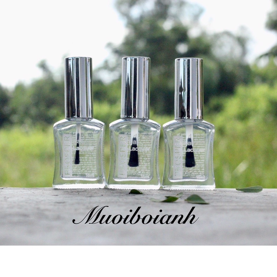 Sơn bóng trong Silver - 16ml