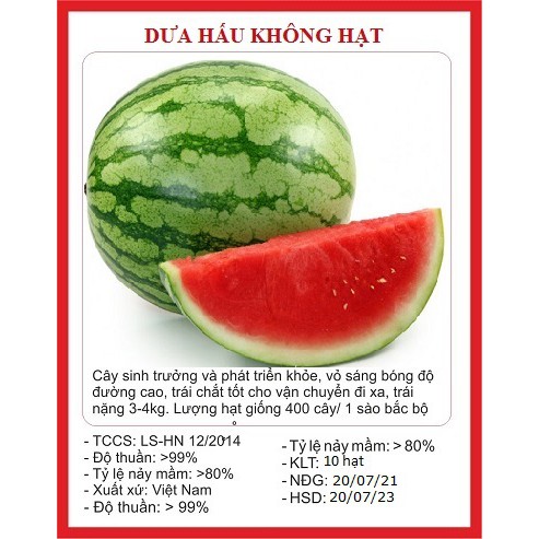 Hạt giống dưa hấu không hạt vỏ sọc-gói 10 hạt
