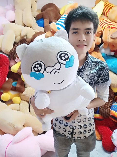 GẤU BÔNG MÈO AMY