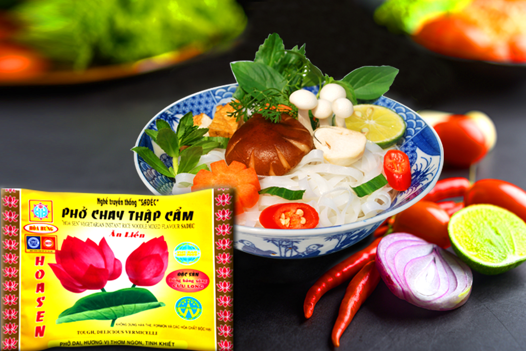 PHỞ CHAY THẬP CẨM (Thùng 30 GÓI)