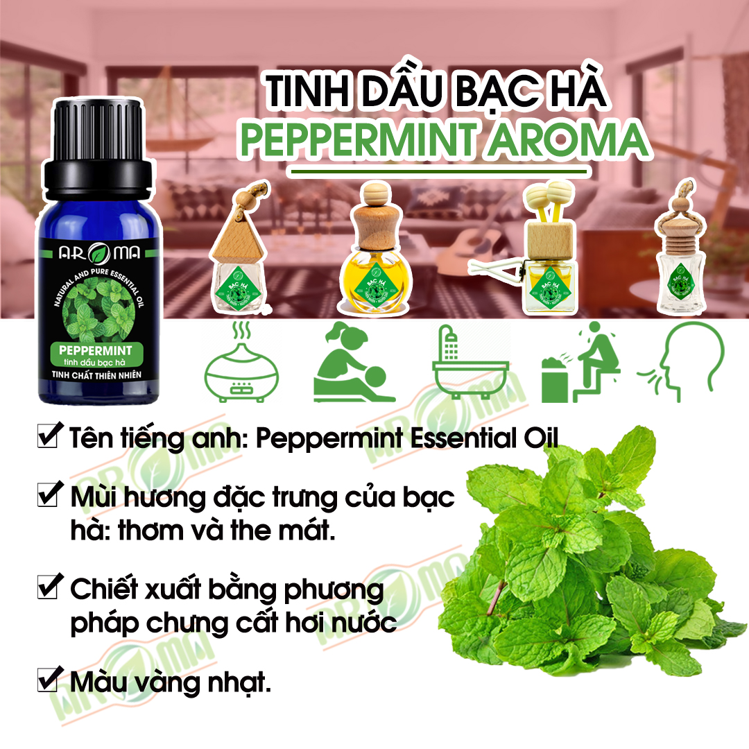 Tinh dầu Bạc Hà AROMA Pháp Peppermint Essential Oil, tinh dầu thơm phòng, thư giãn; thông mũi, hô hấp; đuổi muỗi, chuột, côn trùng; chăm sóc da, tóc