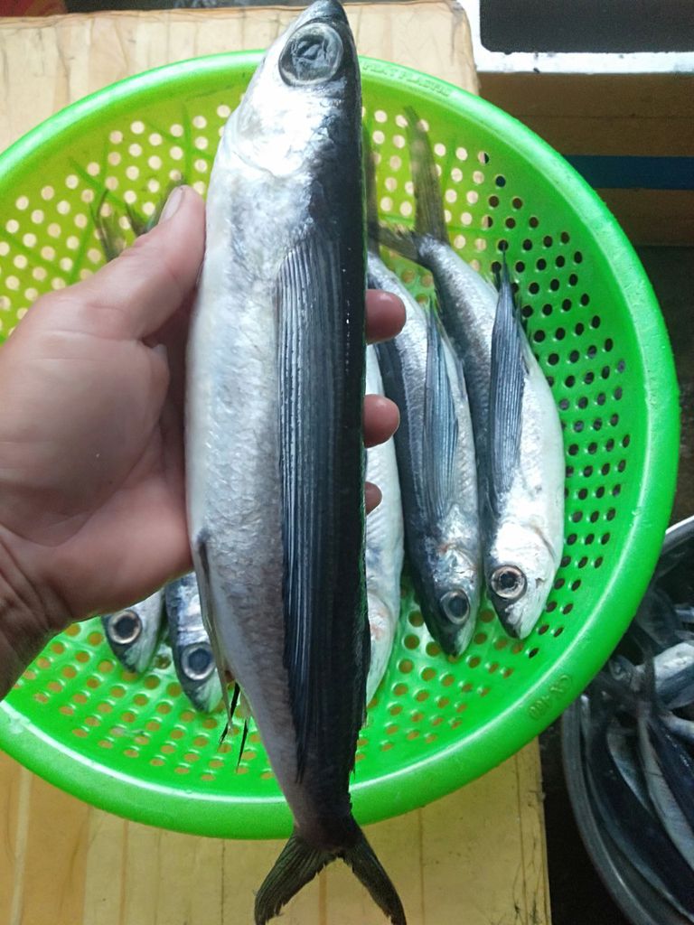 500gr CÁ CHUỒN MÍT KHÔ ĐẶC SẢN ĐÀ NẴNG - siêu ngon