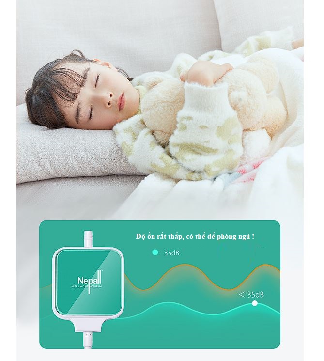 Sủi siêu êm Nepall dùng cho bể cá để phòng ngủ (full đồ)
