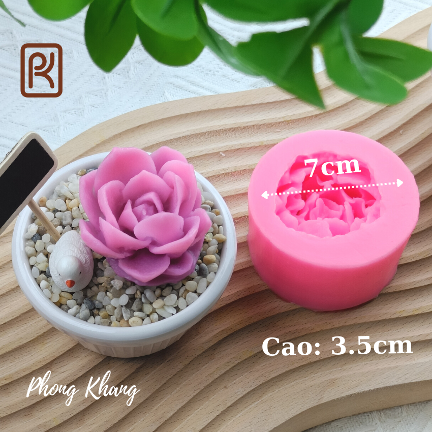 Khuôn silicon 4d Phong Khang làm rau câu sen đá