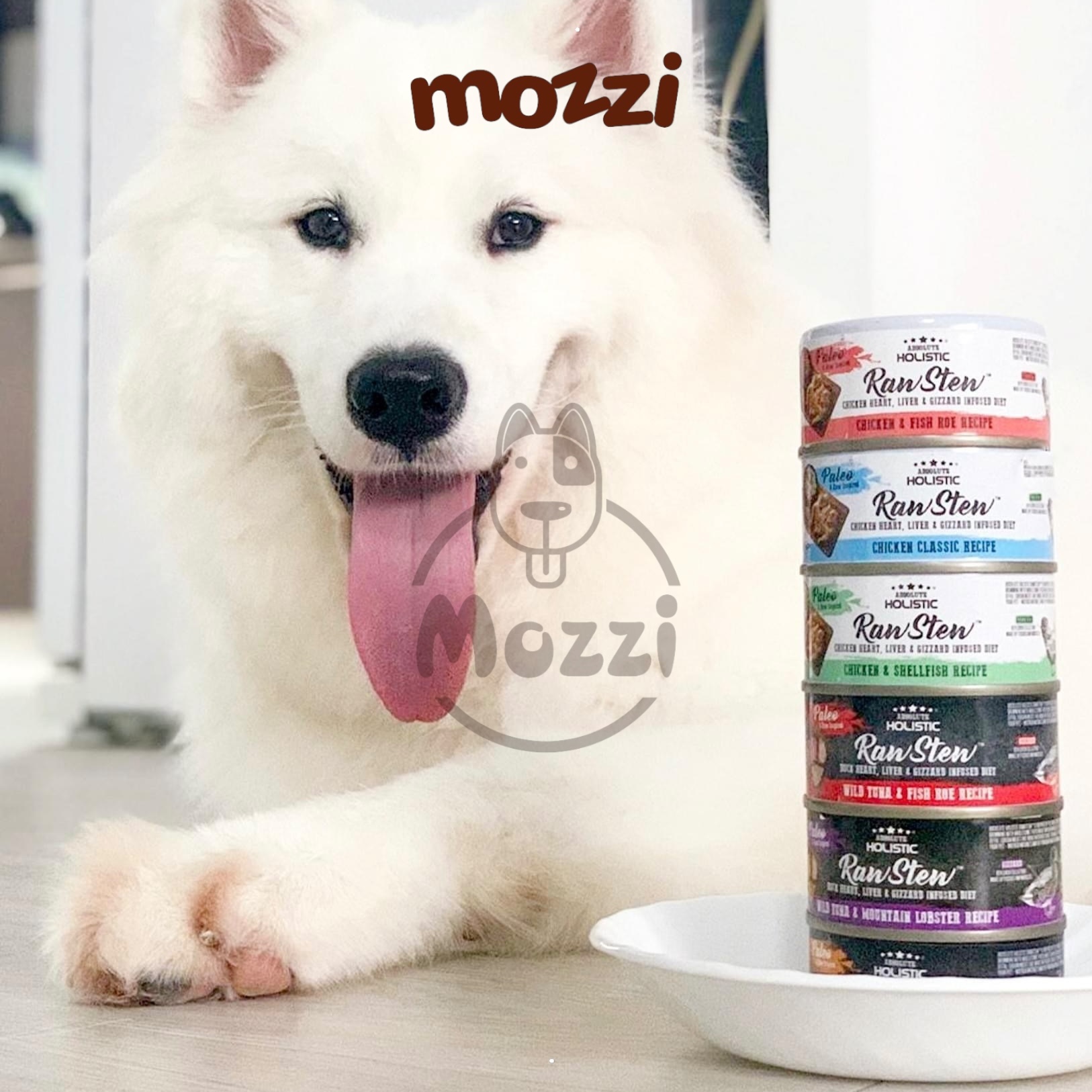 Pate cho chó mèo RawStew Absolute Holistic Lon 80gr