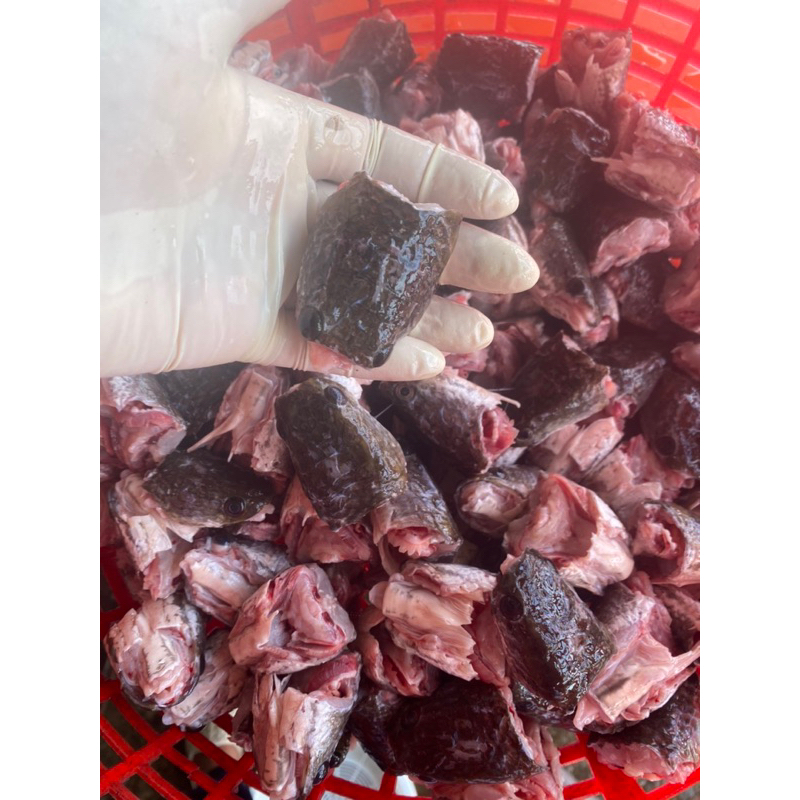 Đầu cá lóc đồng bịch 1kg (giao tphcm)