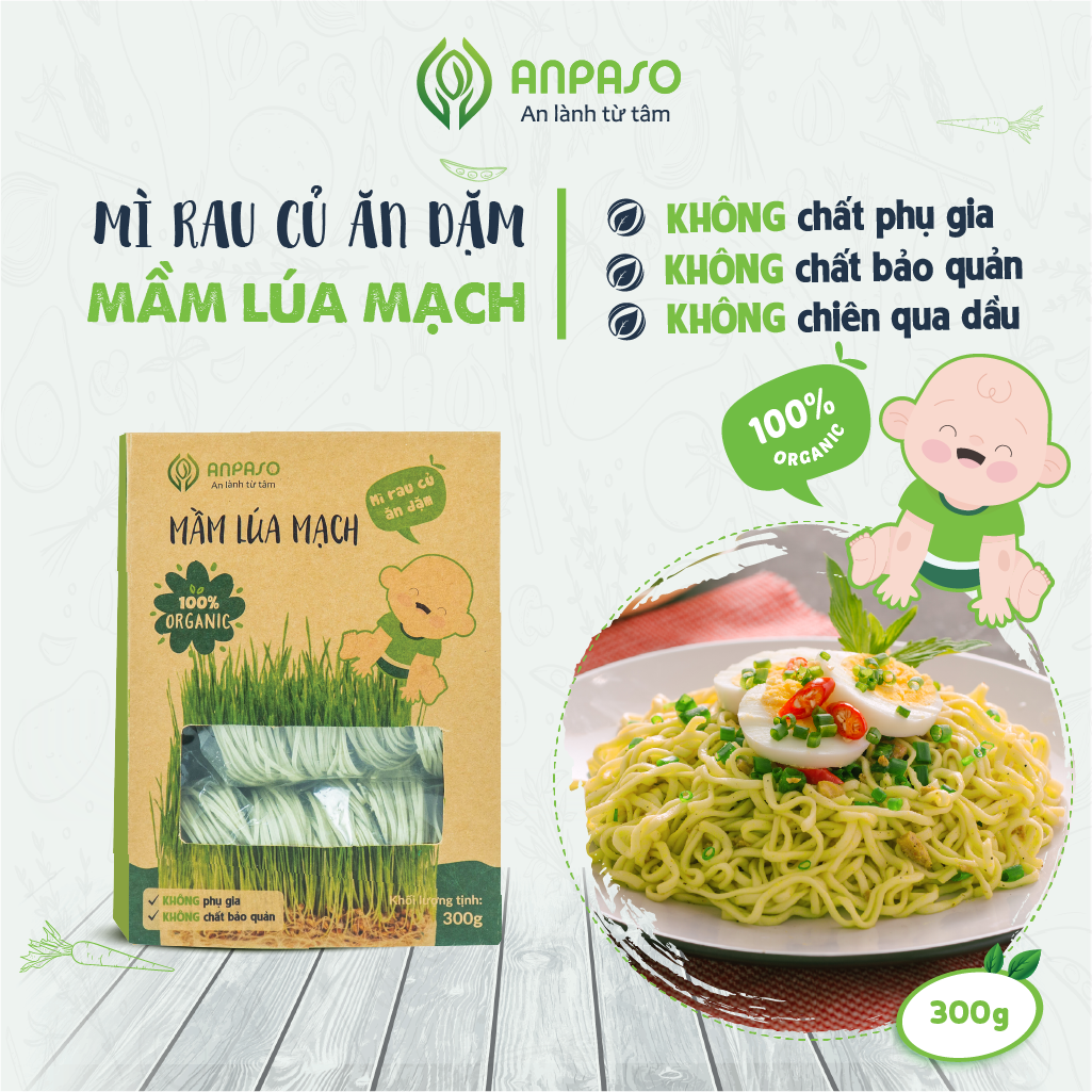 Mì Ăn Dặm Hữu Cơ Mầm Lúa Mạch Organic Anpaso cho bé từ 7 tháng bổ sung chất xơ, hỗ trợ tiêu hóa, giàu dưỡng chất (300g)