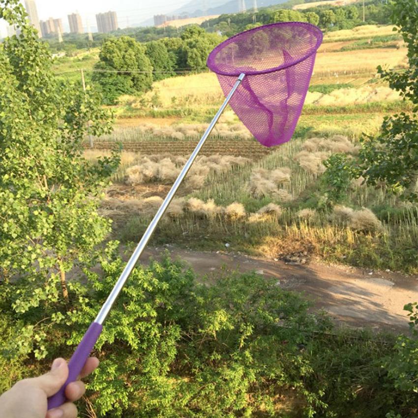 Vợt vớt cá cảnh