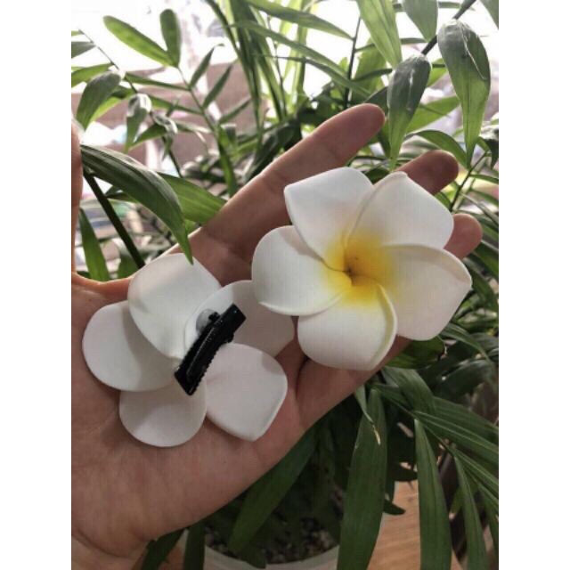 Combo 2 Kẹp Hoa Cài Tóc Đi Biển