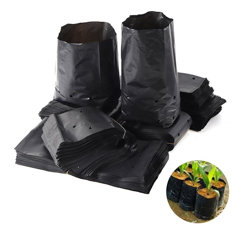 Túi ươm cây/ túi bầu cây các loại nhiều kích thước (500gr & 1 ký)