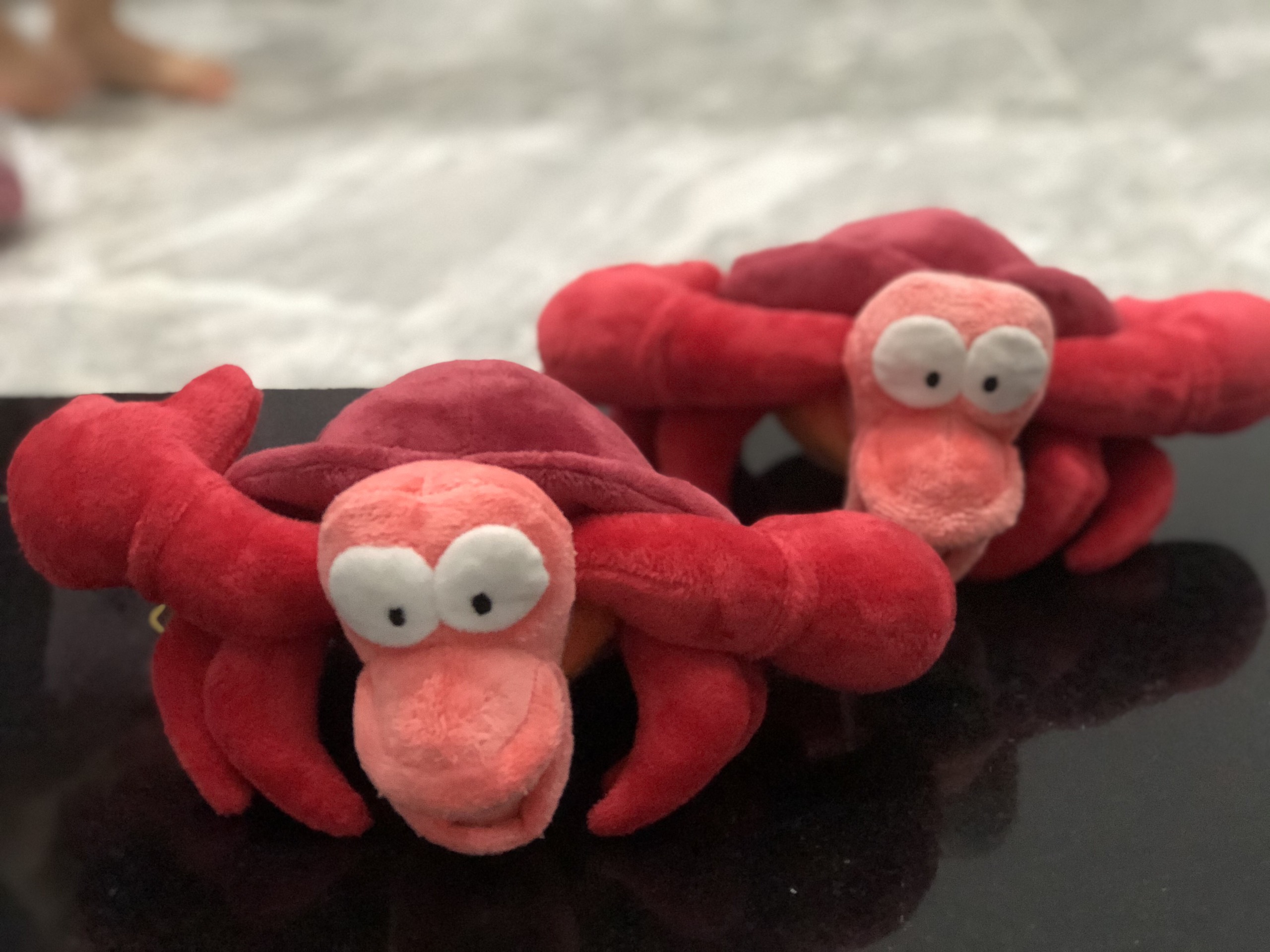 Cua Sebastian