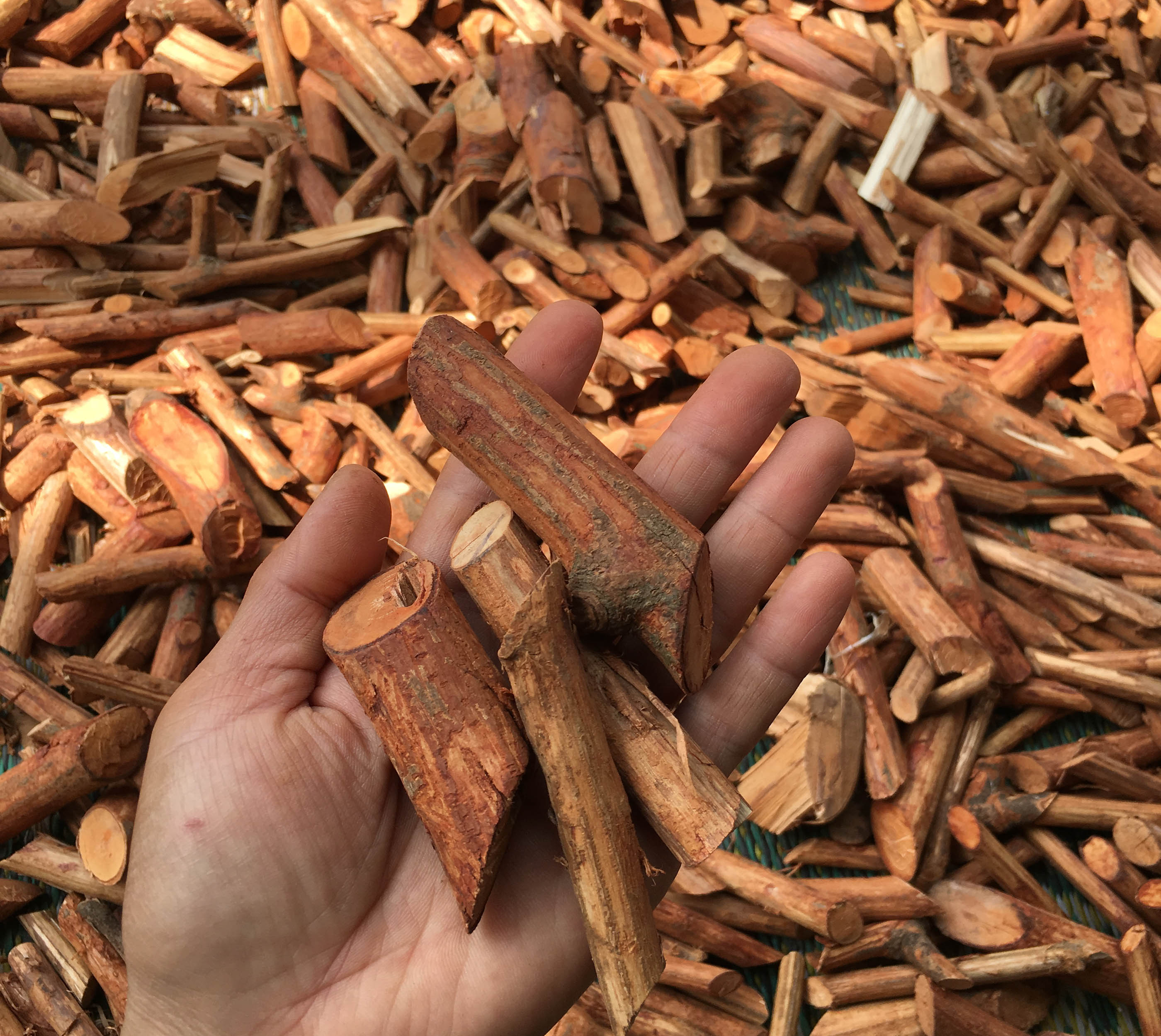 2Kg  Mú Từn Sơn La - Điều Trị Yếu Sinh Lý