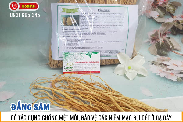 Đẳng Sâm 100g Hàng CTy - Thảo Dược Thanh Bình