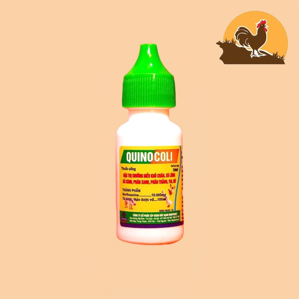 COMBO 4 LỌ QUINO COLI PHÂN XANH PHÂN TRẮNG 10ML
