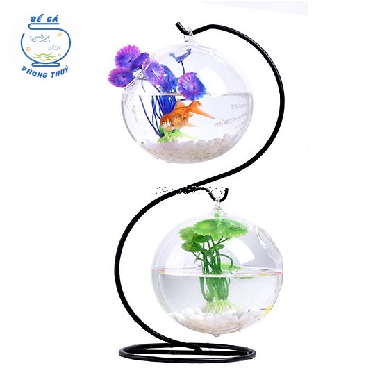 Bể cá mini để bàn hình chữ S mẫu 01 ( Tặng 2 Combo phụ kiện trang trí đầy đủ)