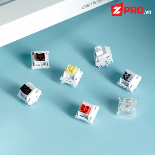 Zpro.vn - Switch WS (Wuque Studio)