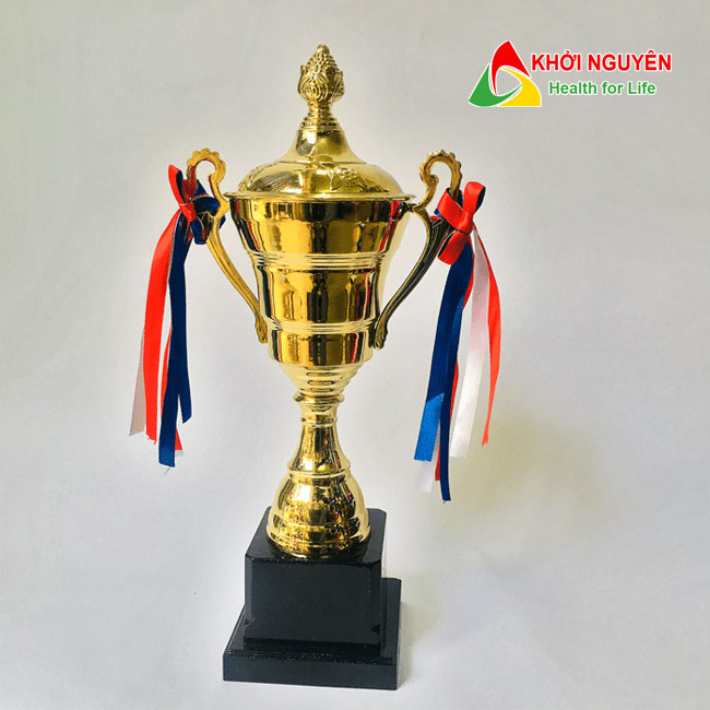 Cúp kim loại cao cấp T-157 Đế nhựa  + Free in tem Logo giải đấu