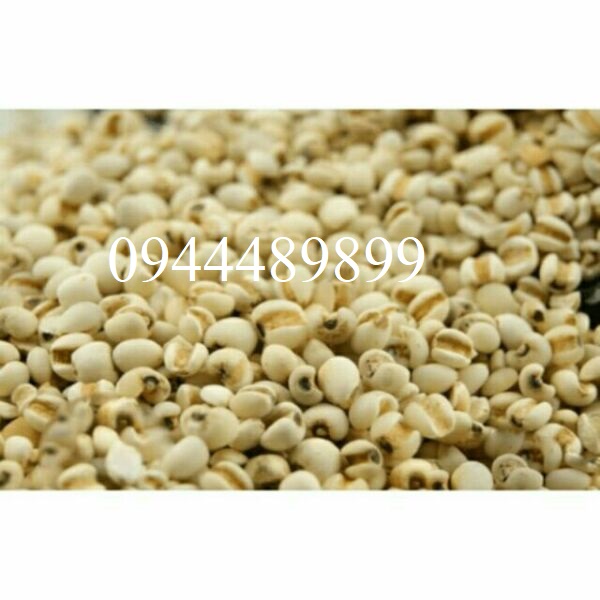 [Quà Tết ] Hạt bobo (ý dĩ) loại ngon 100g