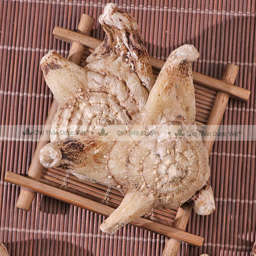 Bạch Cập 100g (Hàng Cao Cấp)