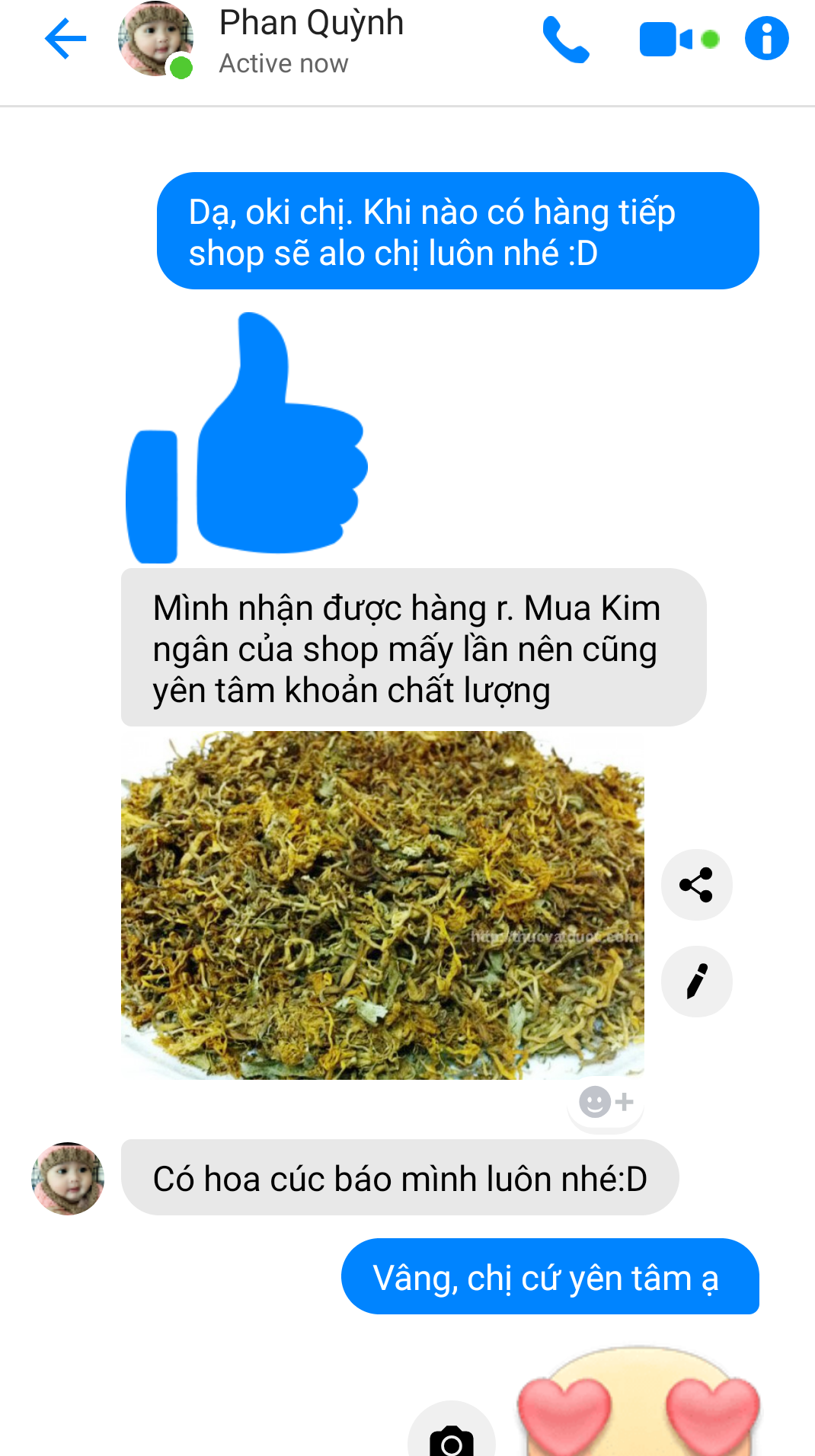 [CHÍNH HÃNG] Trà Detox Hoa Kim Ngân Thải Độc Gan, Thanh Nhiệt, Giải Mụn Nhọt 100g (Loại Đẹp)