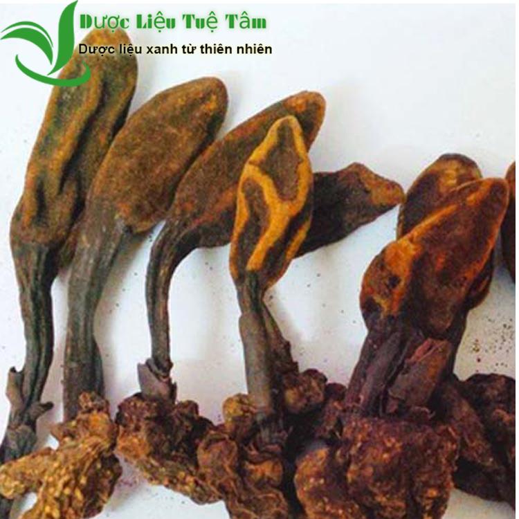 [HCM]1kg Nấm ngọc cẩu khô - NGUYÊN BÚP CAO CẤP