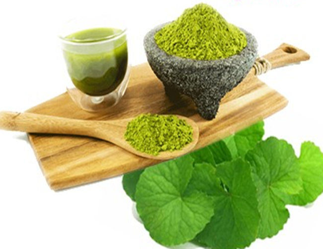 [HCM]Hạt Giống Rau Má Lá To I gói 1gram