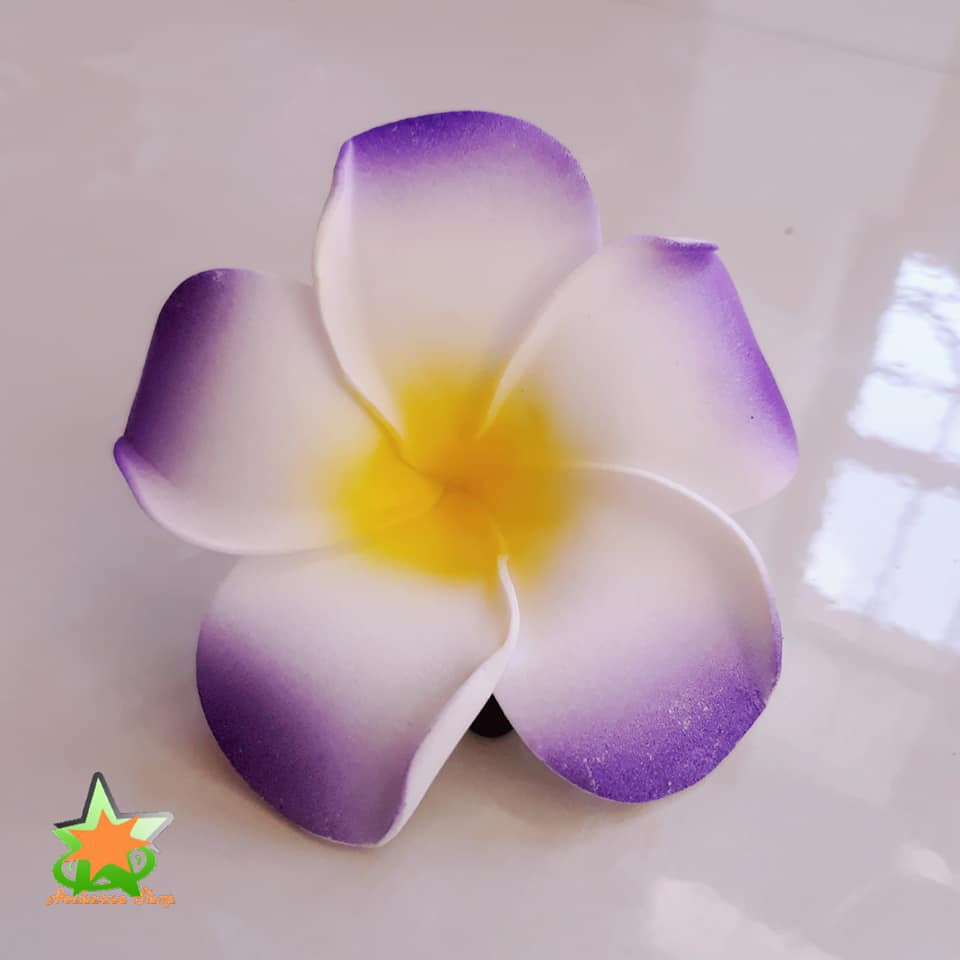 Hoa Đại Cài Tóc Đi Biển Siêu Hot