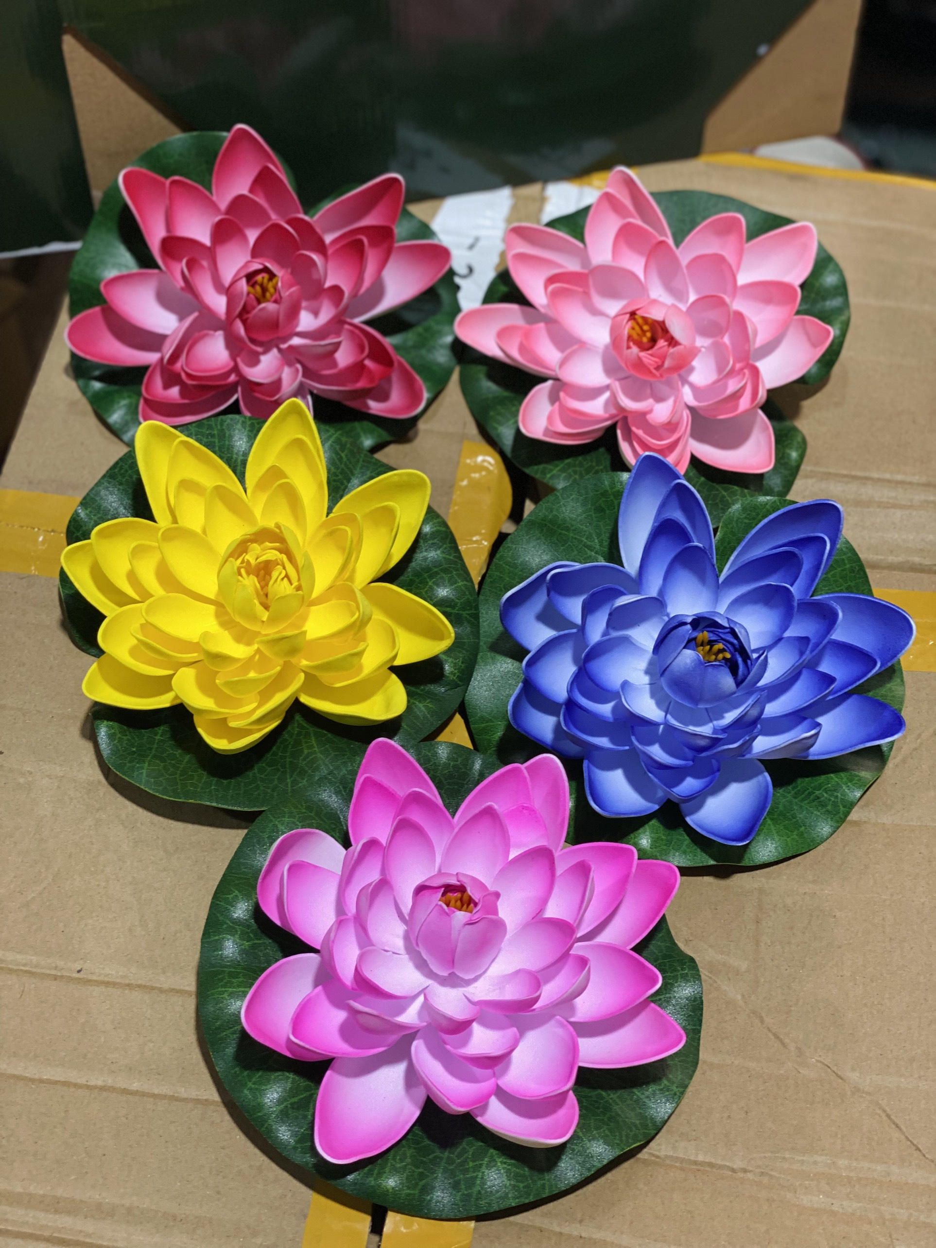 Hoa sen thả hồ