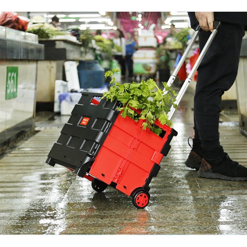 Vali xếp kéo du lịch ô tô Pack & Roll big size 33x34x38cm