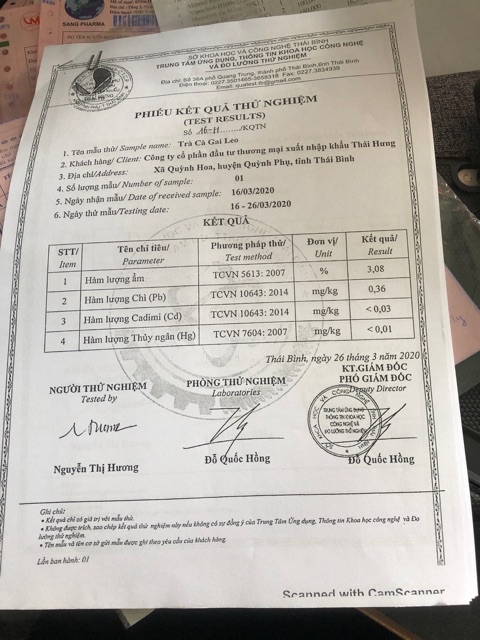 [HCM]Trà Cà Gai Leo - Mát Gan  Giải Độc