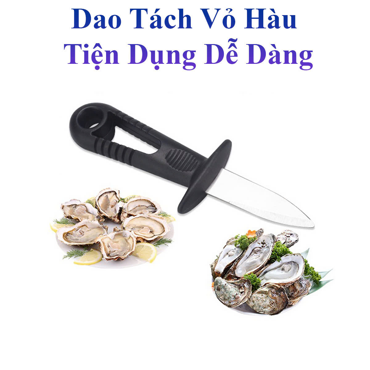 Dao Cạy Vỏ Hàu, Sò Tiện Dụng