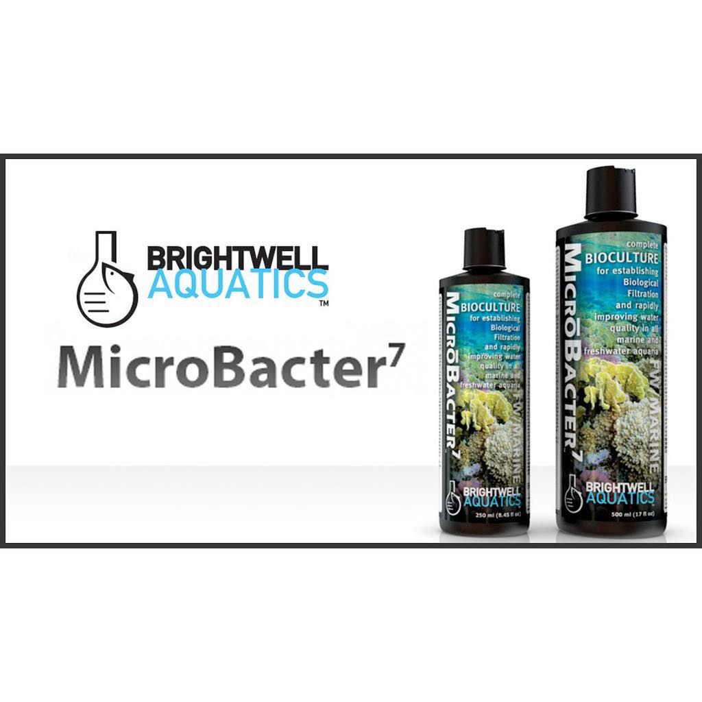 Microbacter 7 for animal fishes – brightwell aquatics