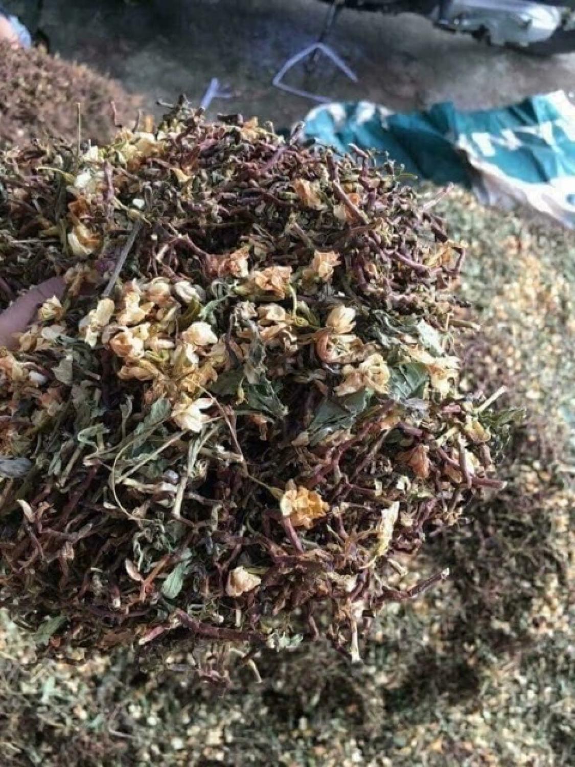 1kg Trà Sơn mật Hồng sâm nhiều hoa