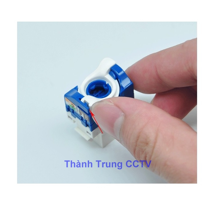Nhân mạng âm tường Cat6 LTE