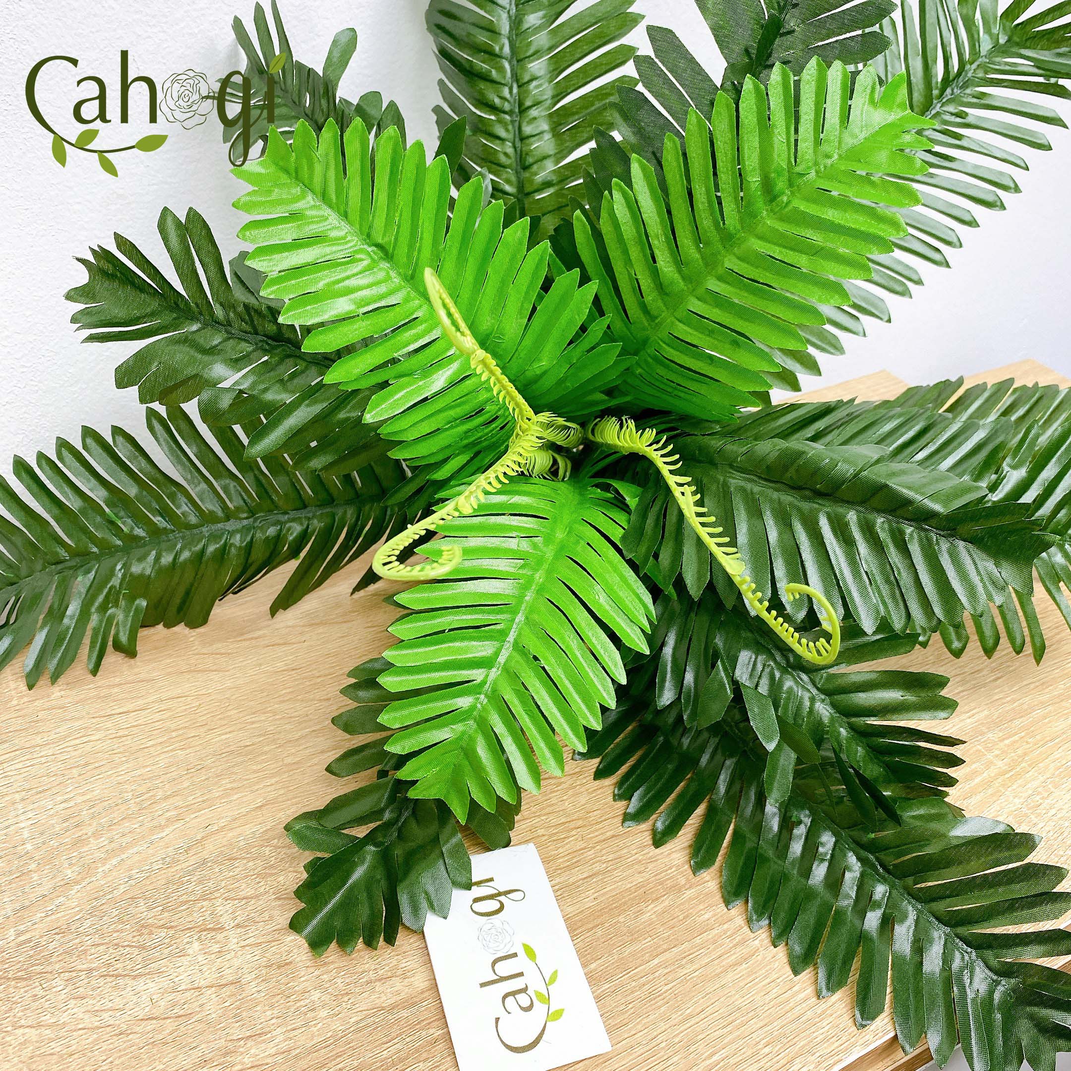Cây Giả Cây Vạn Tuế Cỡ Trung Bằng Vải