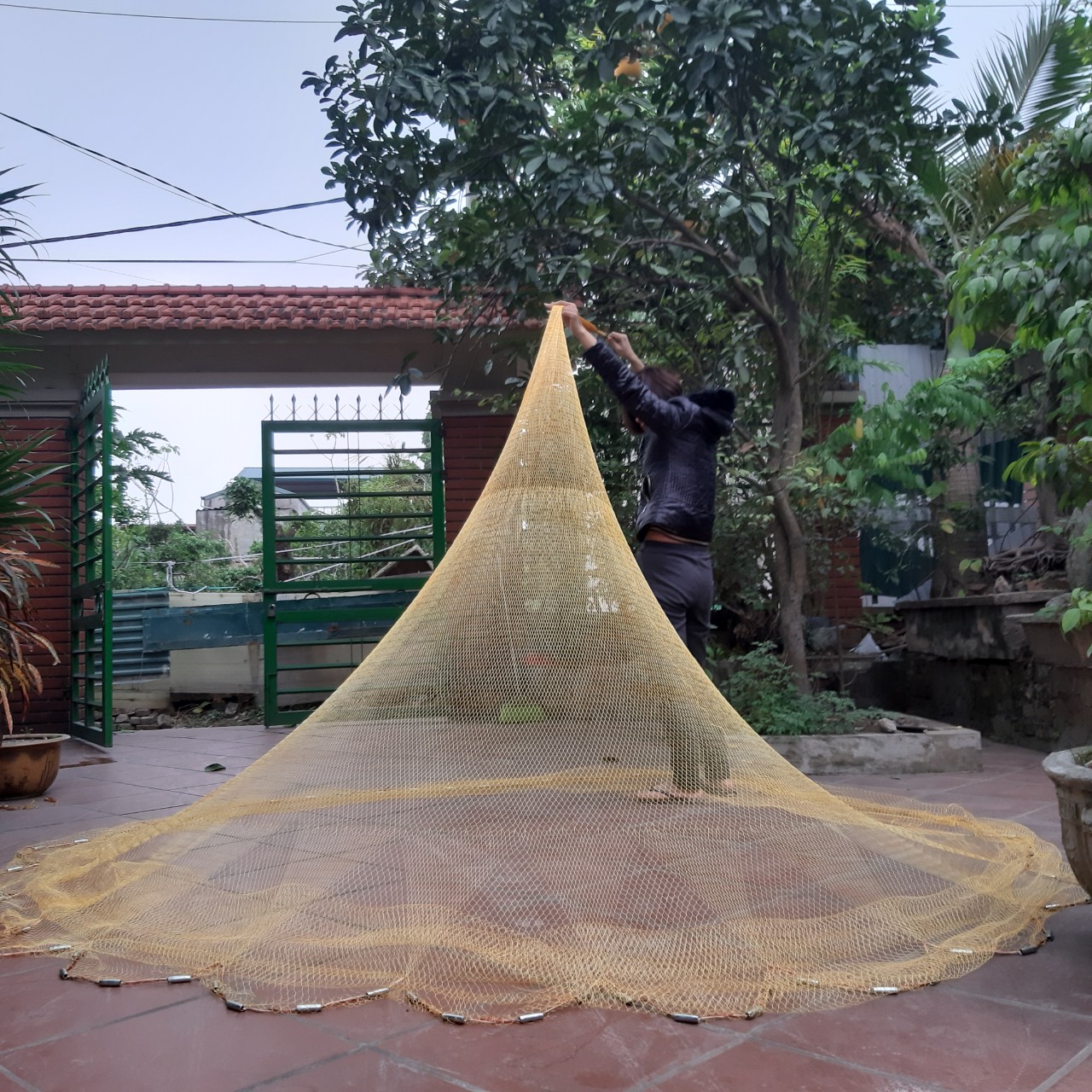 chài dù thái 1,8cm cao 2,7m