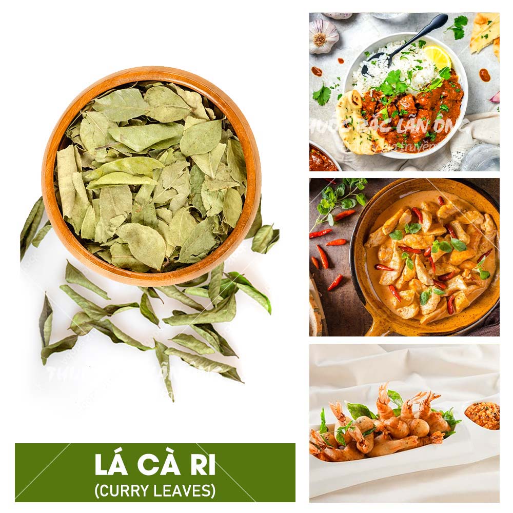 Lá kinh giới tây khô 100g - lãn ông