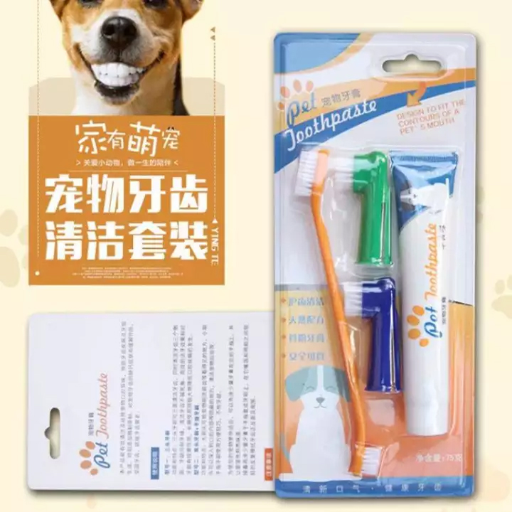Bàn chải đánh răng cho thú cưng - Phụ kiện Long Vũ