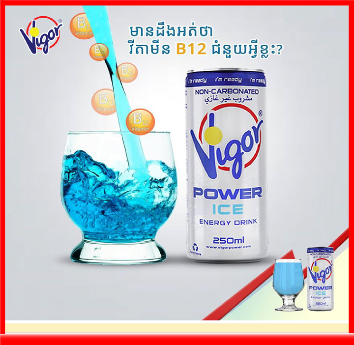 [ HÀNG CÔNG TY NHẬP KHẨU ] Nước Tăng Lực Vigor 250ml