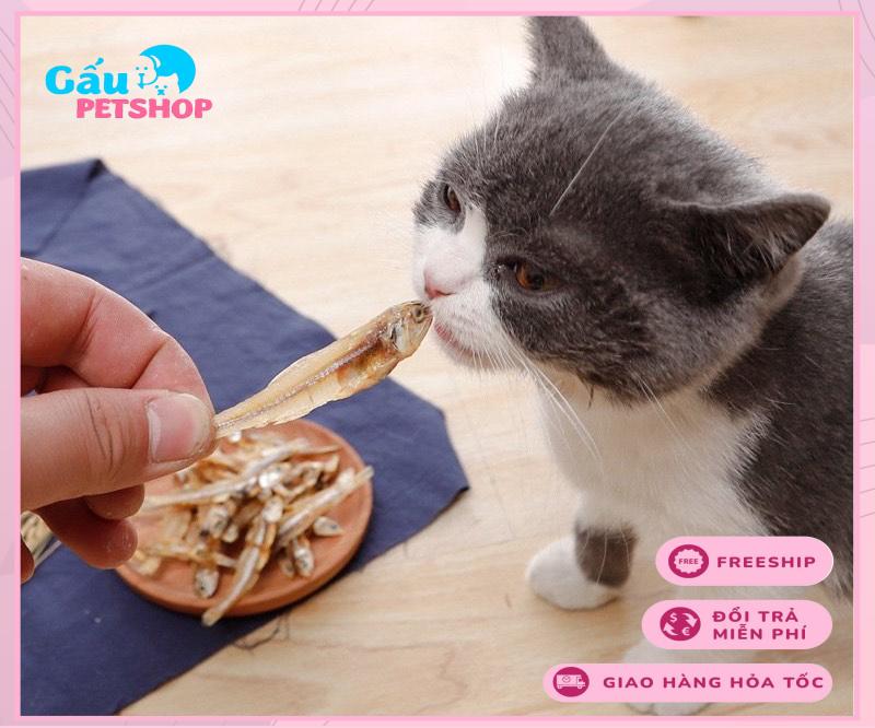 Snack cá cơm sấy khô cho chó mèo - gói 50/100g