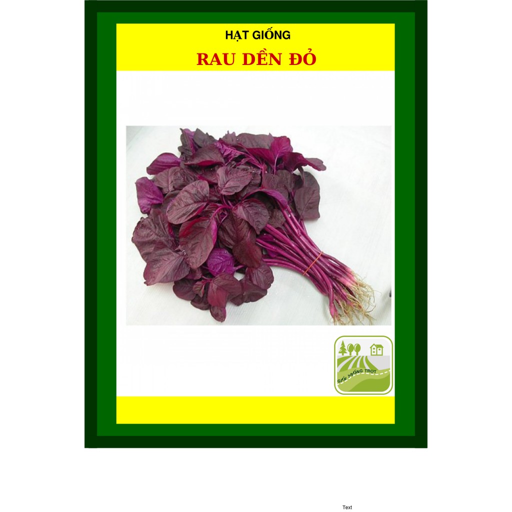 Hạt Giống Rau Dền Đỏ, Mềm 50 Gram