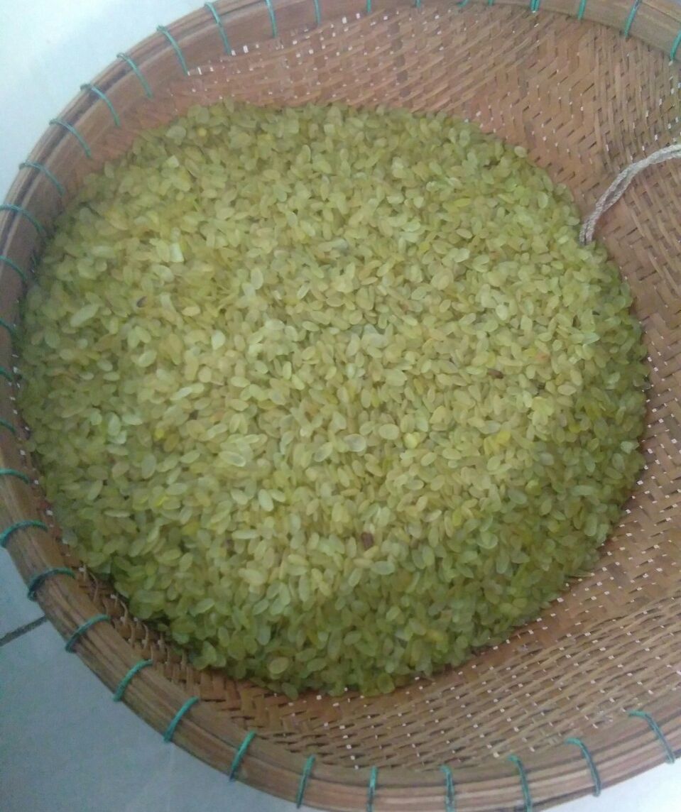 CỐM NẾP KHÔ ,CỐM NẾP NON DẺO THƠM, CỐM TỰ NHIÊN,CỐM TÚ LỆ 1KG