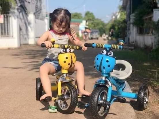 Xe Đạp 3 bánh Con Bọ 295