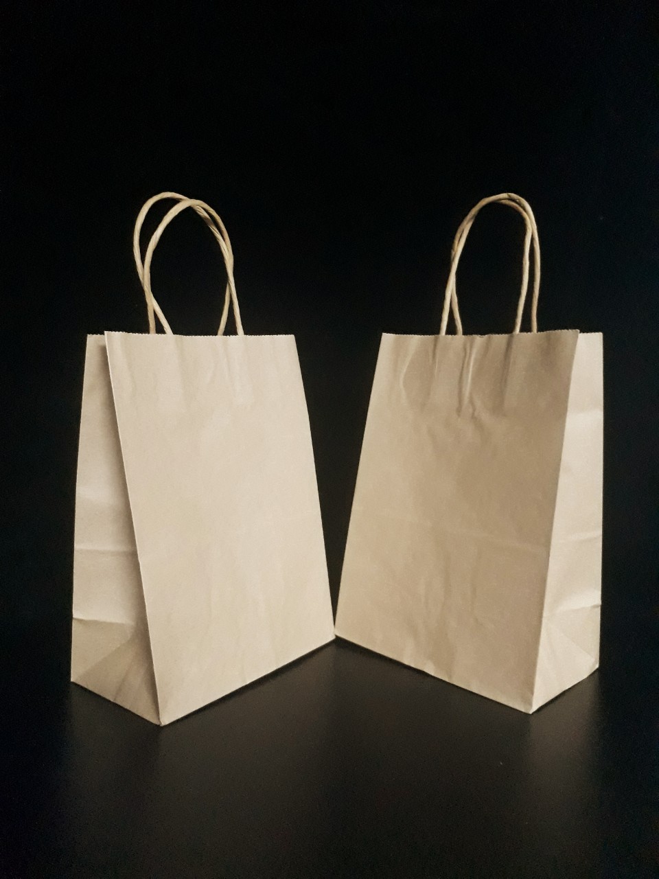 Túi giấy kraft take away (100 túi)